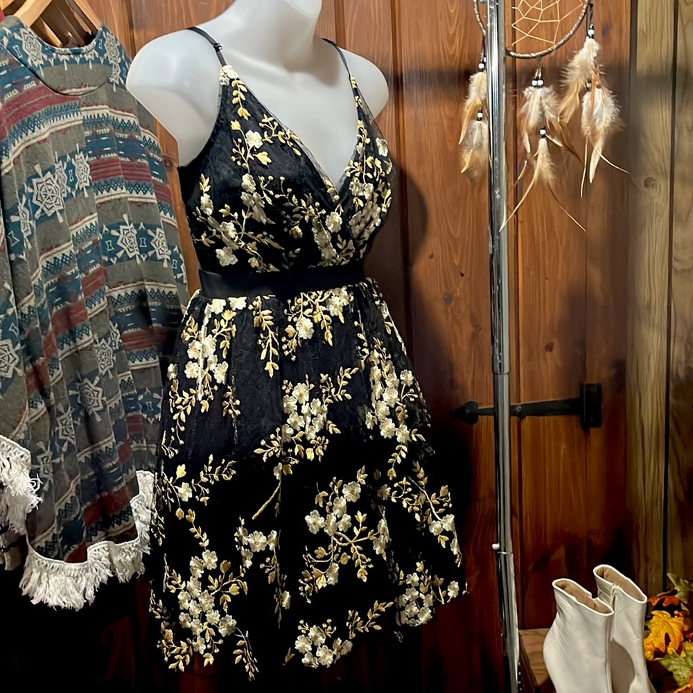 Express Dress. Black laced layered dress.